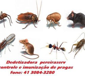 Pereiraserv photo 1