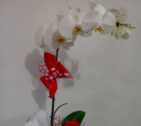 Rosa de Saron