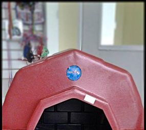 Acalanto Pet Shop photo 10