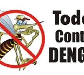 mosquito