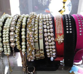 BIA TOMASONI PET STORE photo 6