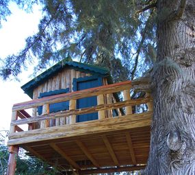 Eco Playground photo 10