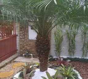Floricultura Armazém Casa e Jardim