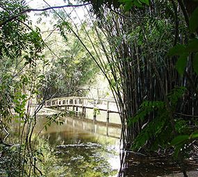 Jardim Botânico photo 4
