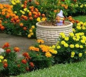 RD Paisagismo e Jardinagem