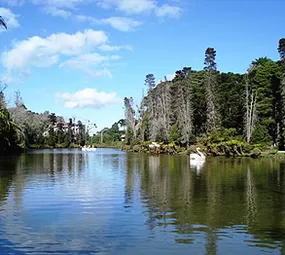 Lago Negro photo 4