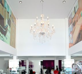 Maxibella photo 2