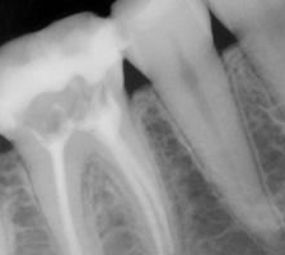 Clínica Dente Belo photo 6