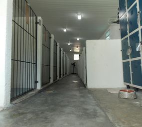 Pet's Place photo 2