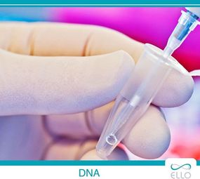 DNA Seguro de Perícia Total - Clínica Ello