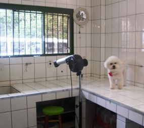 A Terra dos Bichos Clínica Veterinária photo 2