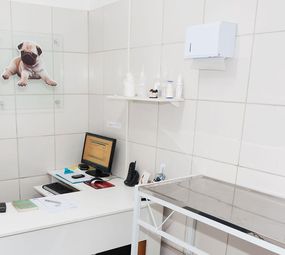 Dudu Pet Shop photo 8
