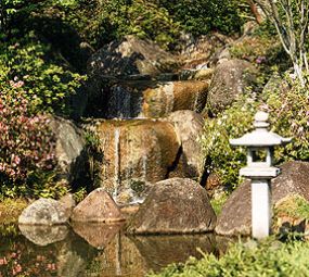 Praça Província de Shiga photo 3