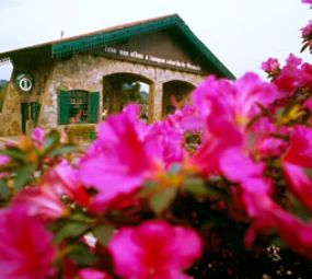 Pórtico (Entrada Via Nova Petrópolis) photo 1