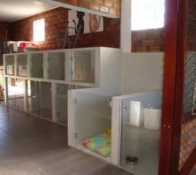 Centro Médico Veterinário - Silvia Bello photo 3
