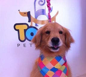 Toca Pet Shop photo 7