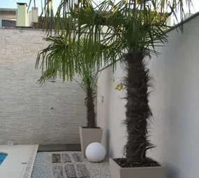Cabana das Flores photo 6