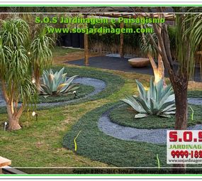 SOS Jardinagem photo 9