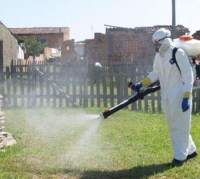 Doutor Prag serviços de dedetização, desratização e controle de pragas