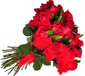 Confecção de Buquês de Rosas Floricultura Anie Flores, São José