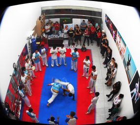 CT Bellatorum photo 5