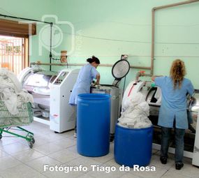 Glinpet - Locação de Toalhas Pet photo 3