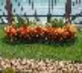Recanto Jardinagem e Paisagismo - Jardins Projetados em Geral photo 3