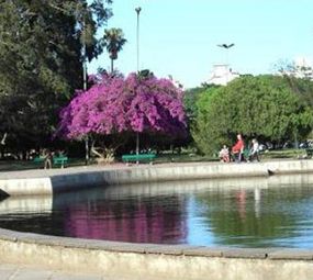 Parque Farroupilha (Redenção) photo 3
