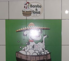 Pet Shop México  photo 8