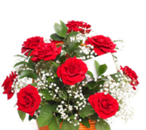 Confecção de Arranjos de Rosas Floricultura Anie Flores, São José