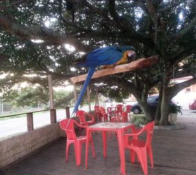 Lagoon Restaurant & Pub Bar photo 7