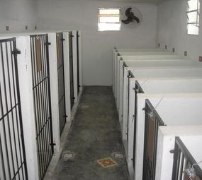 Pet's Place photo 4