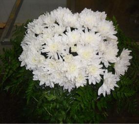 Funerária e Floricultura Muller photo 9