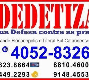 DDSul Dedetizadora photo 4