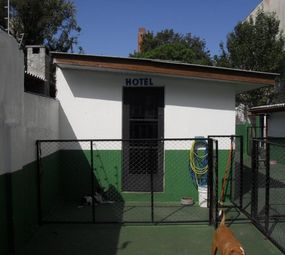 Pet's Place photo 5