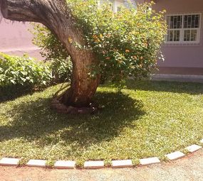 Da Ilha Jardinagem