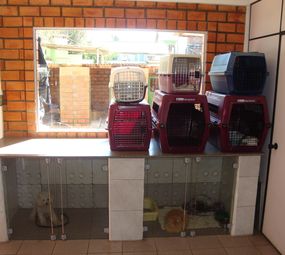 Centro Médico Veterinário - Silvia Bello photo 9