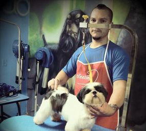 Centro Estético Animal Pierre Mancio photo 3
