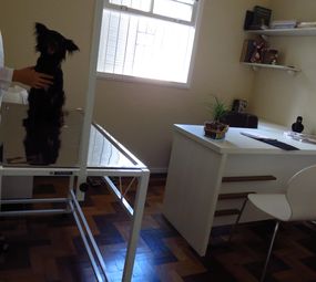 Noah Pet Spa photo 6