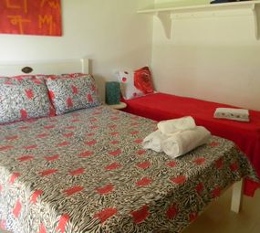 Quarto Tulipa