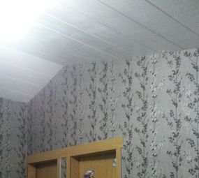 Papel de Parede Jonata Luz