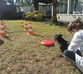 Mundo a Parte photo 7