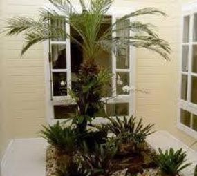 RD Paisagismo e Jardinagem