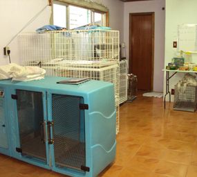 Veterinária Santo Antônio photo 9