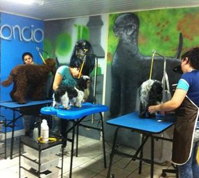 Centro Estético Animal Pierre Mancio photo 8
