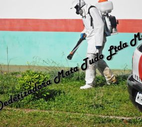 Dedetizadora Mata Tudo