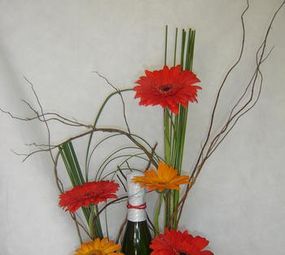 Magnólia Flor e Cultura photo 6