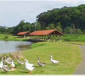 Parque Tingüi photo 2