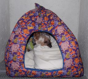 Pet's Place photo 3