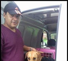 Pet Transportes